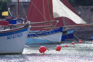 chouage des bateaux plage du Chteau de Pornic - auteur : Christophe Houdart