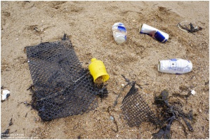 Pollution des plages suite aux temptes 2014