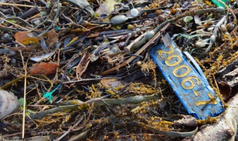 Quand la mer vomit ses déchets - auteur : Roger Urfer