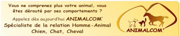 Animalcom.net - Bourgneuf en Retz