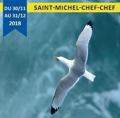 30/11/2018 1er jour, Exposition Photos & Confrence  Saint Michel Chef Chef