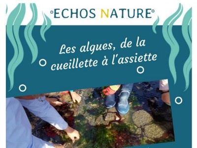 06/04/2019 Echo Nature les Algues, de la Cueillette  l'Assiette  la Plaine sur Mer