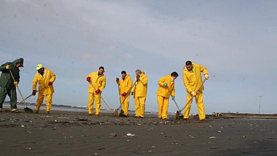 Pornic - 10/02/2014 - Pollution : le ramassage a repris sur la plage de Saint-Brevin 