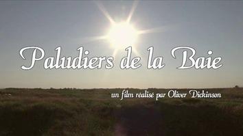 Pornic - 08/08/2014 - Audio : Les Paludiers dans la Baie : Interview d`Olivier Dikinson