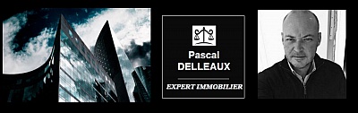 Pornic - 15/02/2016 - Nouvelle activité référencée : Pascal Delleaux,  L`Expert Immobilier