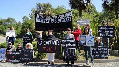 Pornic - 09/05/2017 - Plante Sauvage. Manifestation contre la captivit des dauphins 